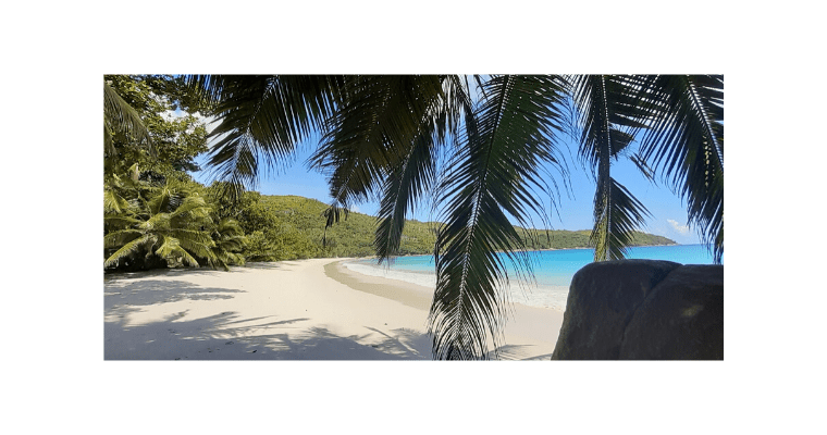 Hello Old Friend – An Update From Seychelles